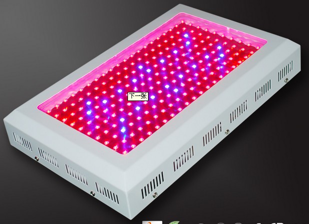{(ln)ݮL(zhng)ledֲL(zhng)