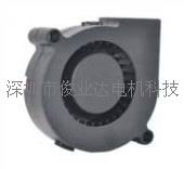u5015L(fng)C