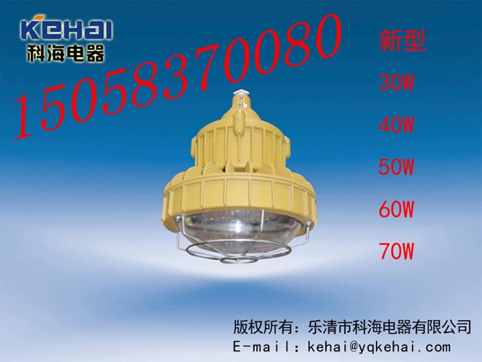 So(h)LEDr(ji)BED-II40WLEDDSo(h)LED