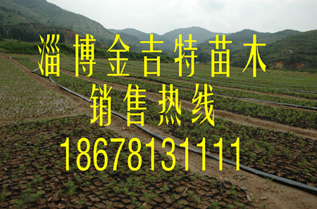 (yng)ɘ(sh)磬13-15I(yng)B(yng)С