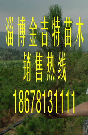 (yng)С60-80
