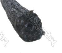 ʯīP