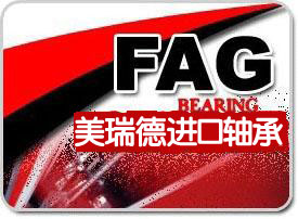 FAG 23130E1A.MS  \Ź(yng)