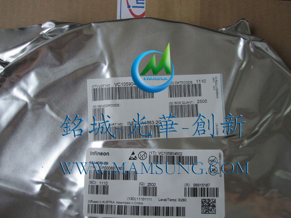 (yng)TDA4863-2G