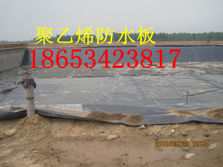 (bio)ˮa(chn)S