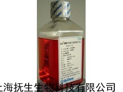 zB(yng)