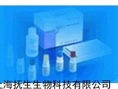 ϰ ԇ