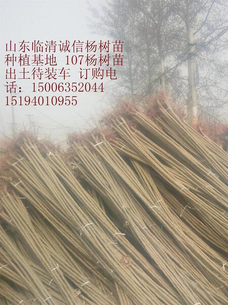 Rе(zhn)\ŗ罛(jng)N̎