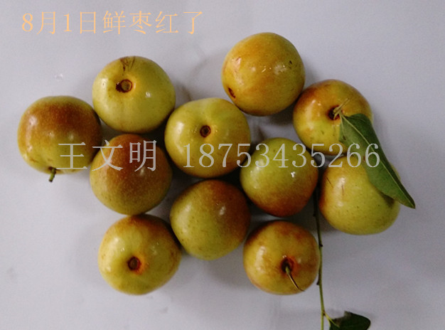 ra(chn)شմُ