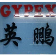 Vݰƭh(hun)Ƽ޹˾ֹ˾
