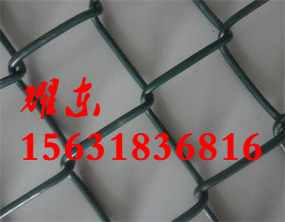 r(ji)ľW(wng)񲼌(du)wЩӰ푣