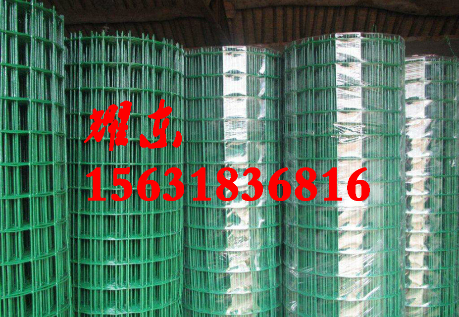 304P䓰庸 P䓰  201P䓾W(wng)