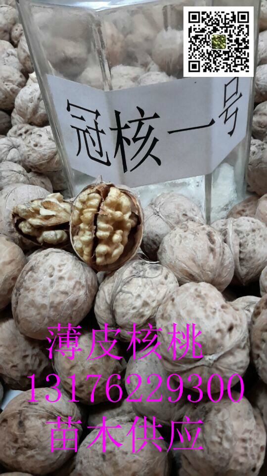ӱ_ˮںһ̖