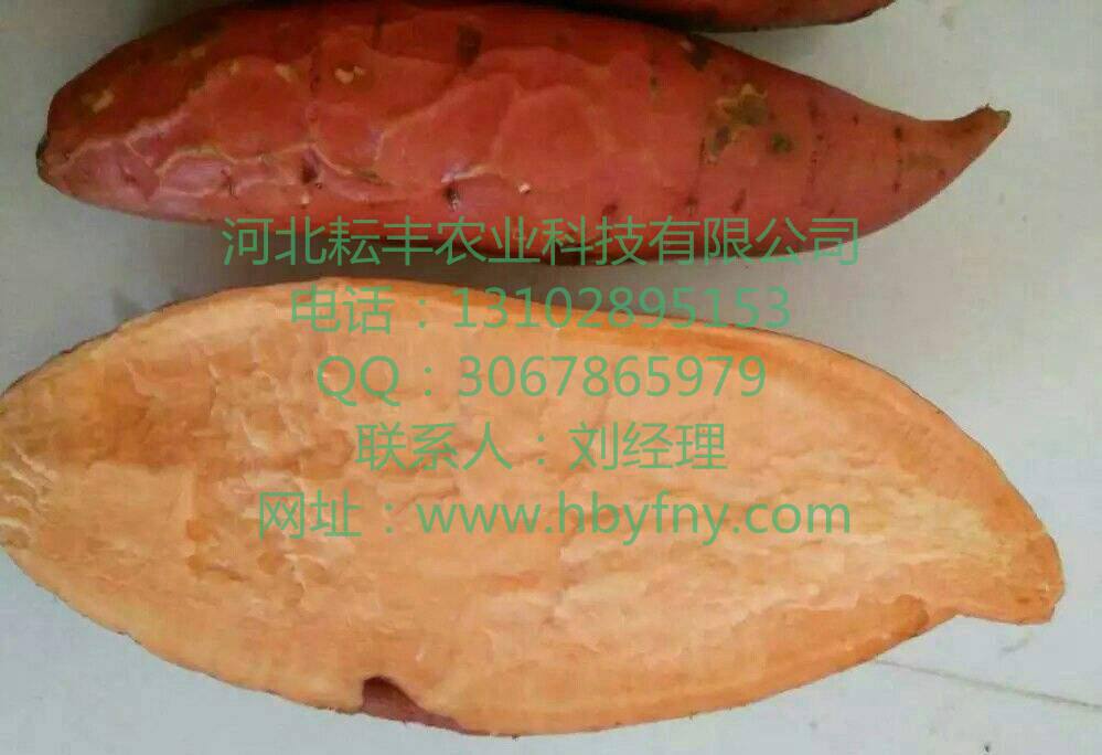 (zhn)ƺ25tُr(ji) ׺ӟ25tNֲ