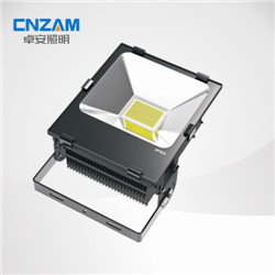 hֱNLEDSo(h)ZBD101A20W