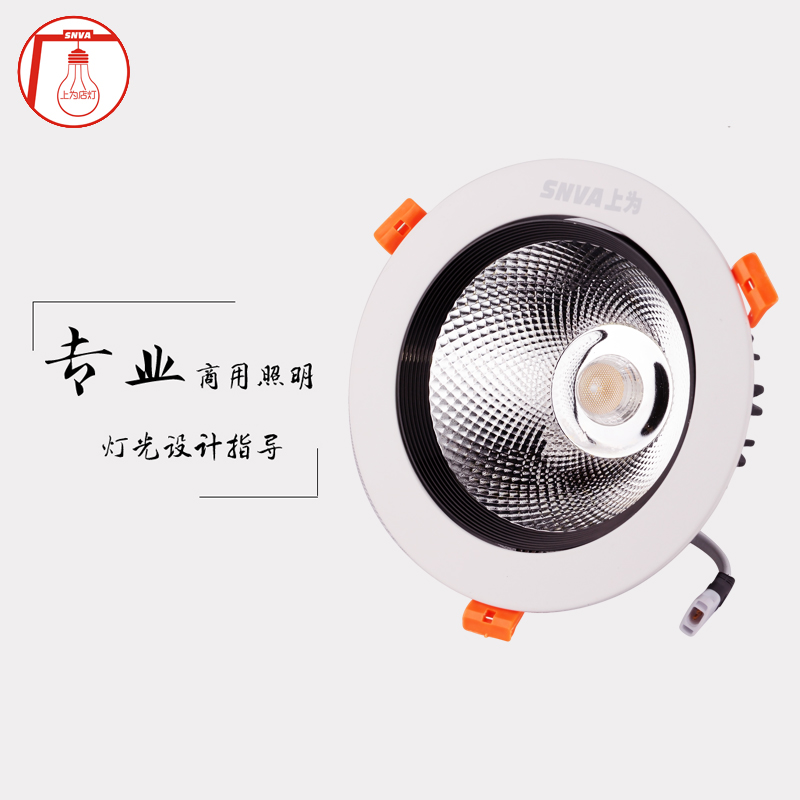 LEDǶʽ-SLS2101-20
