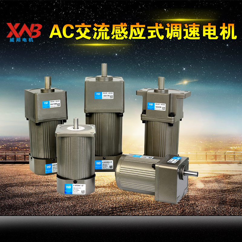 300W{(dio)늙C(j) ǘ(bio)Ԅ(dng)R_(d)300W 220Vx܇늙C(j)Ϻ