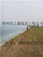 Դ8׌߲˴ｨOărǶُSl(f)r-֮
