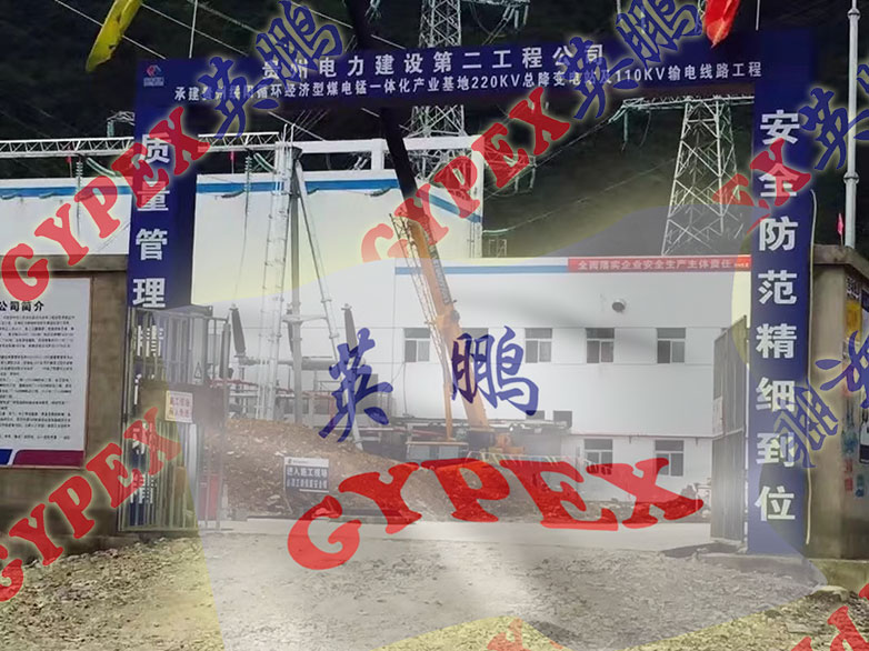 GYPEXӢi{(dio)220kv׃վ