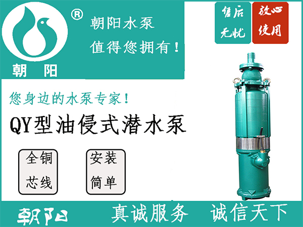 (yng)QY250-13-15ȫP(yng)̝ˮ늱