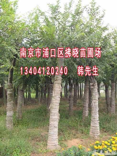13֘r
