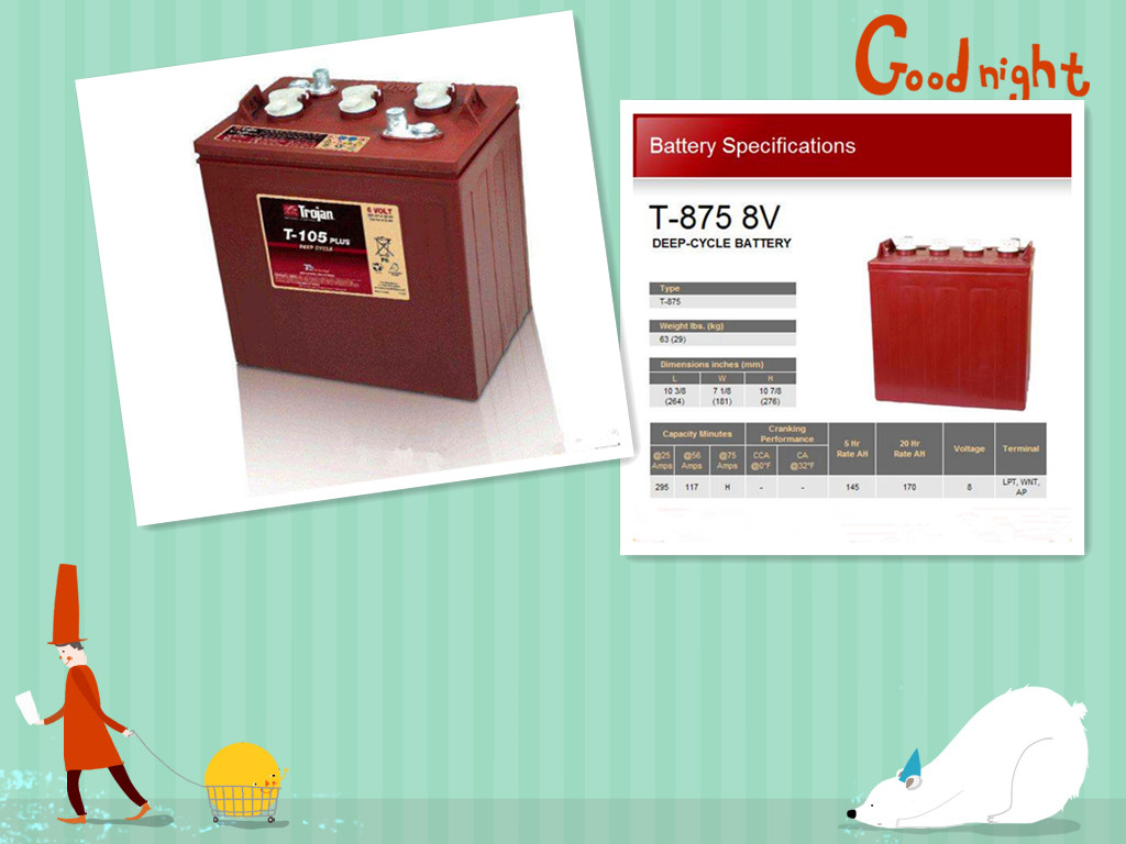 (gu)늳T-875/8V170AH  ȫ(gu)ֱN