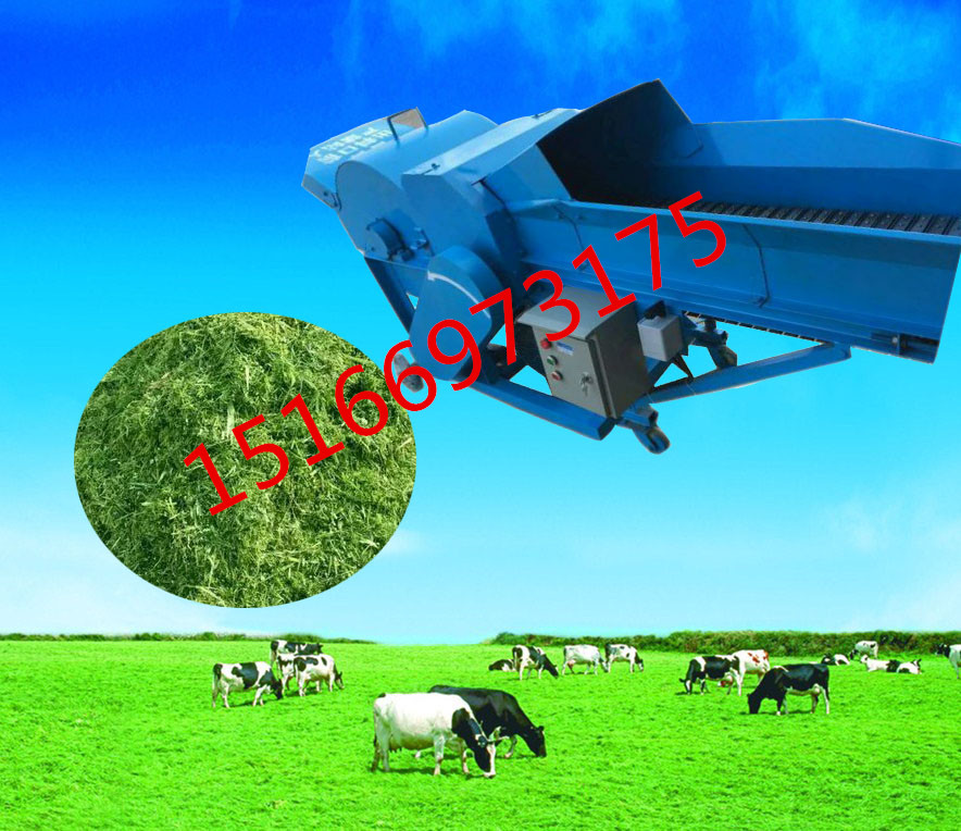 նzC(j)S 厲ݙC(j)r(ji) ๦ݔ͎zC(j)a(chn)