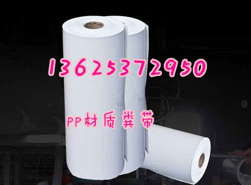 uS͎ ӼSr(ji) Spp
