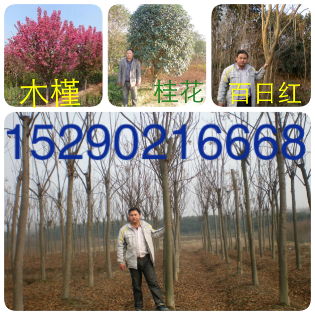 3ľ  1׸߹l(f)  3Ӯa(chn)؃r