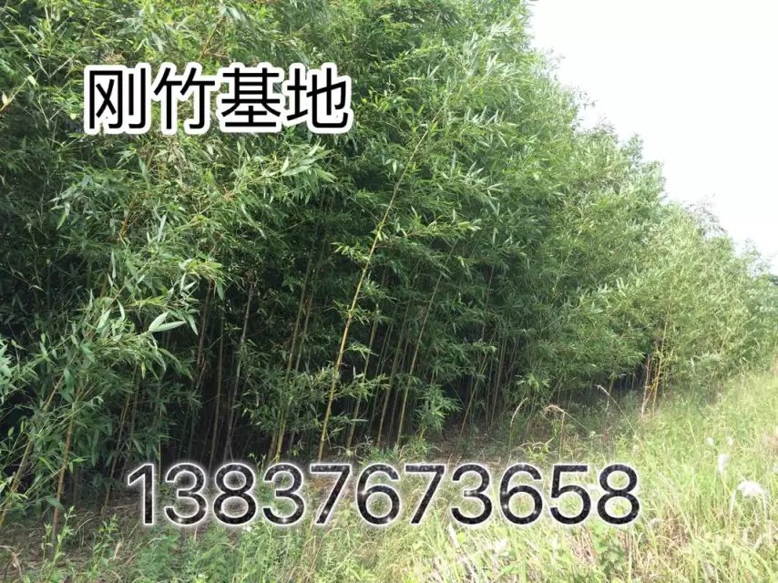 3Ӄr  2ֵ   1׸߹l(f)