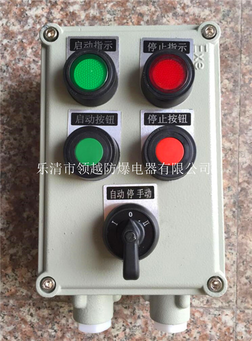 BZC81-A2D2K1G
