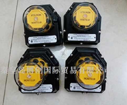  MONITEUR_P(gun)  F(xin)؛4(g)