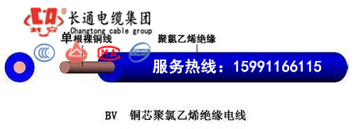 (gu)(bio)zBV 25ƽ늾