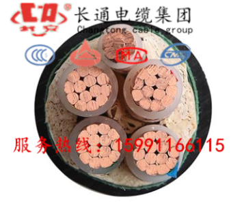 (gu)(bio)zYJV 3120+170ƽ|