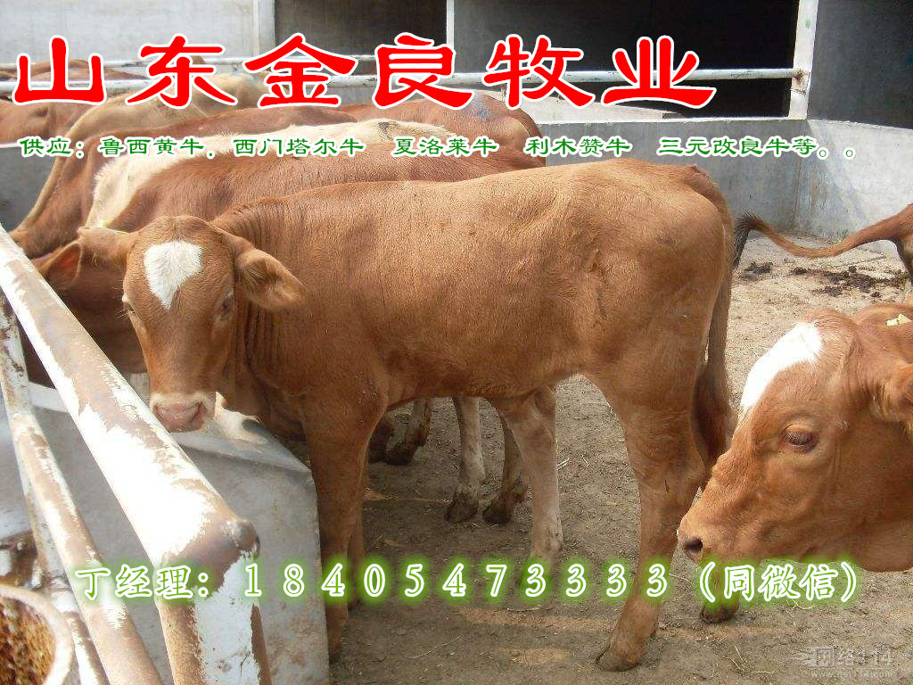 ţB(yng)ֳ(chng)ţr(ji) Tţكr(ji) Сţكr(ji)