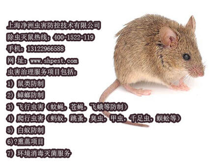 Ϻxؼg(sh)޹˾