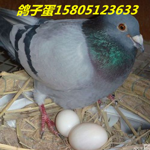 ӵôuuӵ