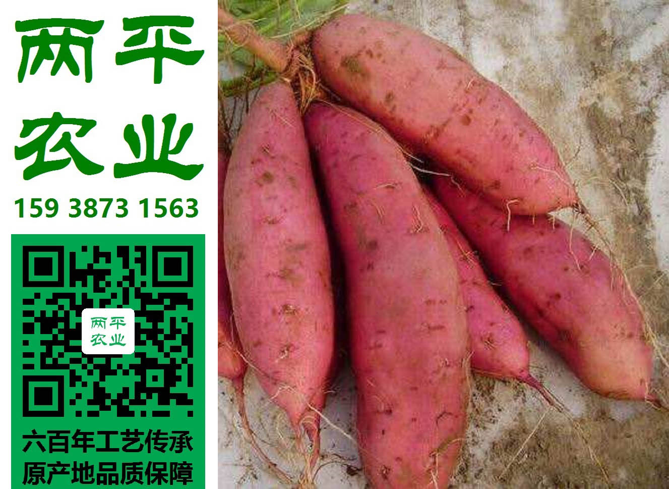 ڼtۗlYb|ȫֹtۗla(chn)|tۗlƹ˾