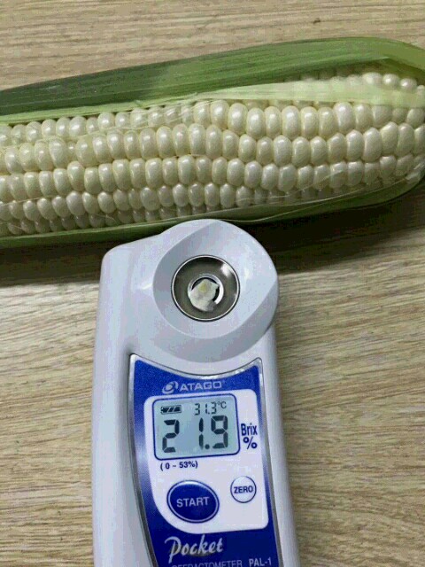 ѩ7401׷N