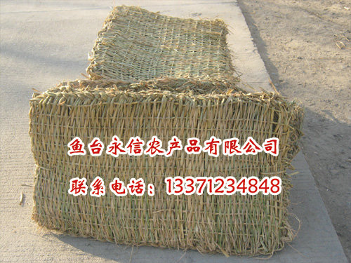 I(y)a(chn)ֱN(yu)|(zh)ݲK