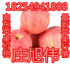 ɽ|O(png)r(ji)tʿO(png)
