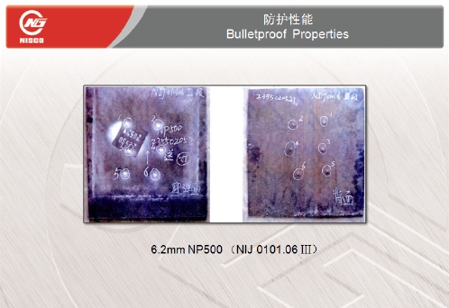 䓰ȫo(h)䓰 NP500  NP550