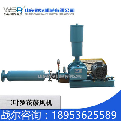 (zhn)250~_ĹL(fng)C㽭wsr30015kw_L(fng)Căr_L(fng)C
