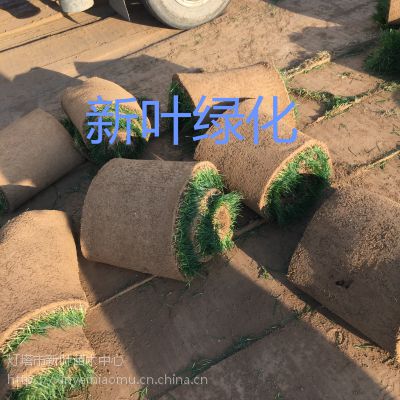 ݃(yu)|(zh)ƺݲƺءݲƺr(ji)һֲƺݷNʲôƺ