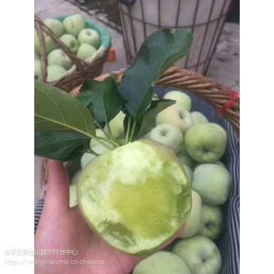 O GƤӡ|ۼ޽O ʽӡ|O2