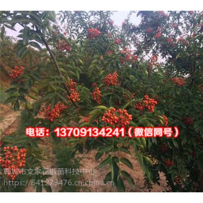 nǵğo̴tۻ؛Tr(yu)