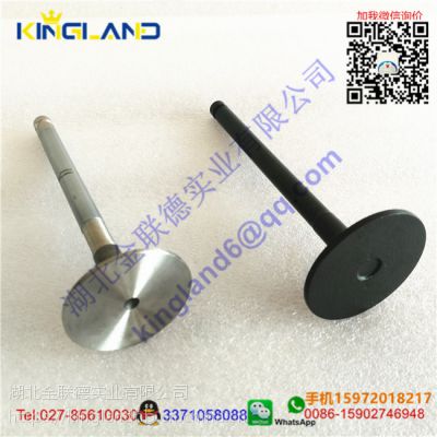 ˹ 1104 MT intake?valve 3142h071