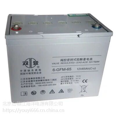 p 늳12v65ah 늳|(zh)꿂(bo)r(ji)