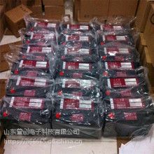 ̶늳redsun12-160USo(h)12v160ah늳؏SֱN
