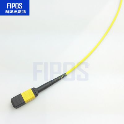 mtp/mpo (ĸ^) 8/12о ģos2 (sh)(j)/w tepya/b/c